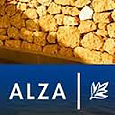Alza-Real-Estate